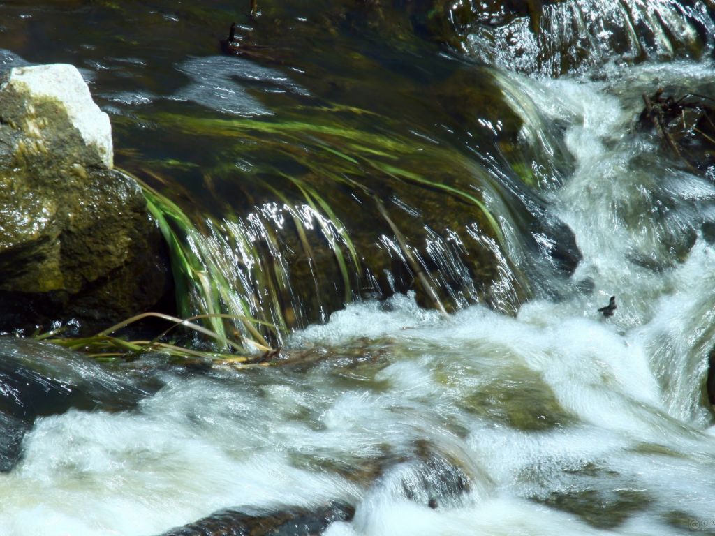 Fonte De Agua Corrente - FDPLEARN