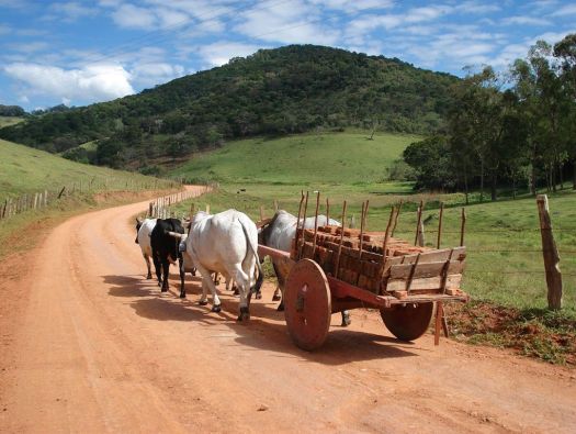 Carro de boi