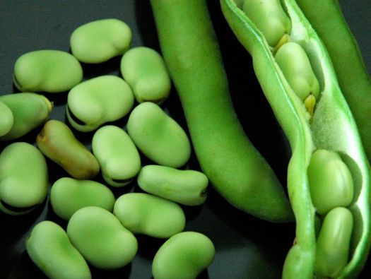 Favas