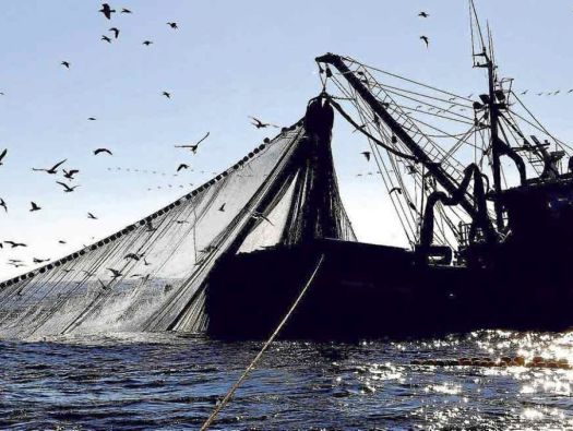 Pesca