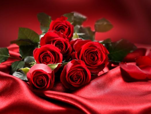 Rosas vermelhas