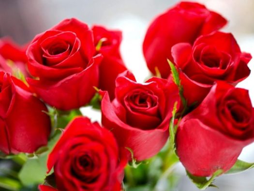 Rosas
