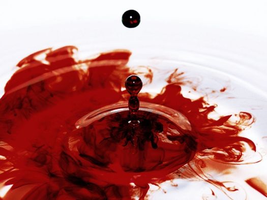 Sangue