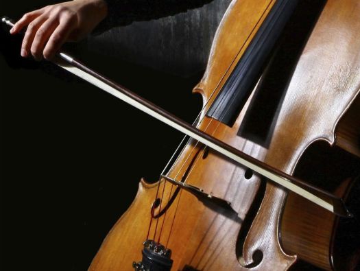 Violoncelo