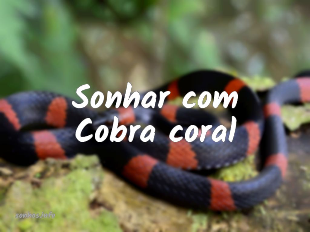 SONHAR COM #COBRA #CORAL: SIGNIFICADO DE SONHAR COM COBRA CORAL 
