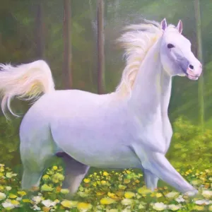 Sonhar com Cavalo Branco - Sonhos.info