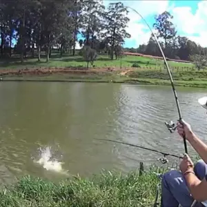 Pescando