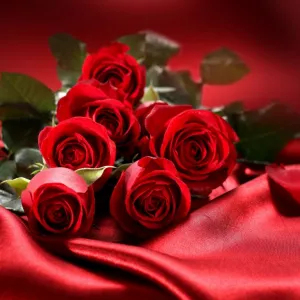 Sonhar com Rosas vermelhas - Sonhos.info