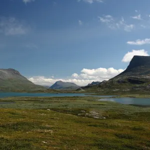 Terreno baldio